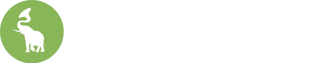 Skokiaan Noir